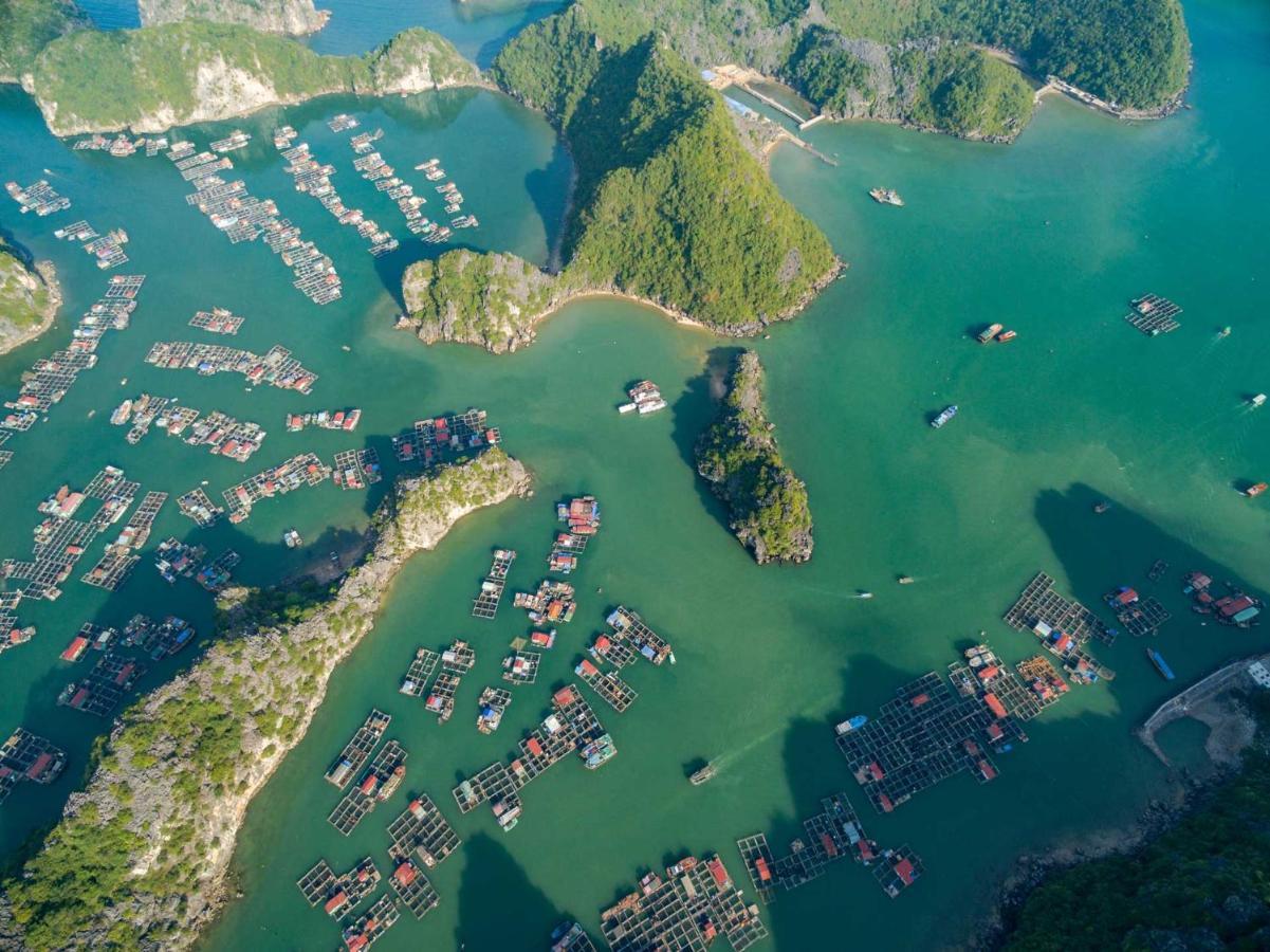 Cat Ba My Ngoc View Hotel Dong Khe Sau Eksteriør bilde